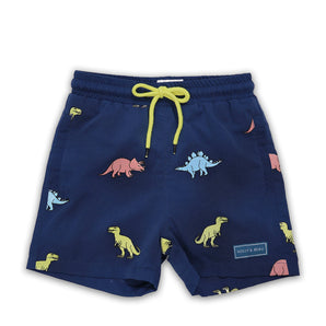 Holly And Beau Boys Dinosaur Color Changing Swim Shorts | Quick Dry Pool & Beach