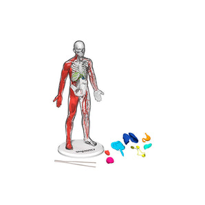 Discovery Mindblown Human Anatomy Kit STEM Toys