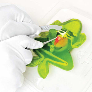 Slimy Dissect It STEM Slime Kit - Educational Gift for Kids