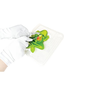 Dissect It Megalab Frog & Piranha With Magnifying Glass + 2 Refills