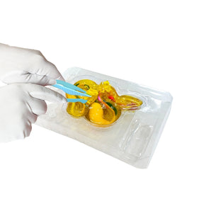 Dissect It In Giftbox Rattlesnake