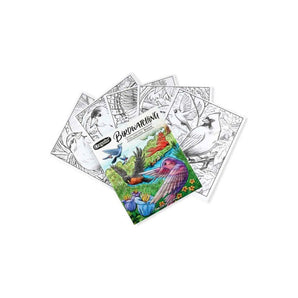 40 - Page Coloring Book, Bird Watching - My Little Thieves