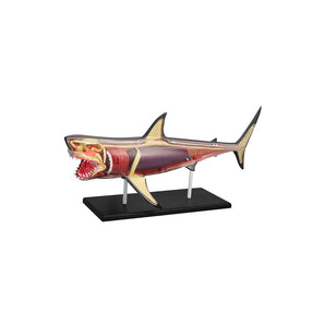 Discovery Mindblown STEM Anatomy 4D Shark