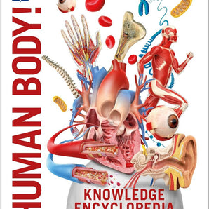 Knowledge Encyclopedia Human Body