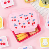 A Little Lovely Company Bento Lunch Box | Kids Multi Compartment Container