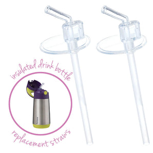 B.Box Insulated Drink Bottle Straw Pack | Dishwasher Safe