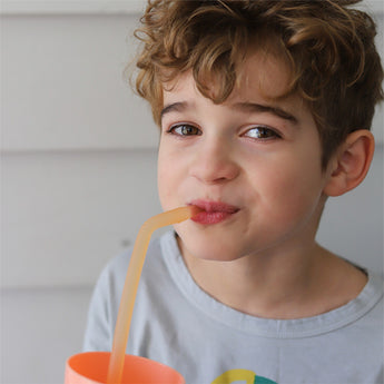 B.Box Silicone Straw Travel Pack