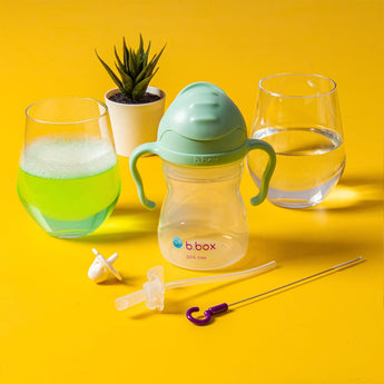 B.Box Sippy Cup Replacement Straw Pack: Includes 1 Replacement Straw with Weight, 1 Cleaning Brush, Fits b.box Sippy Cups