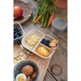 Beaba Divided Silicone Plate Clay | Baby Mealtime