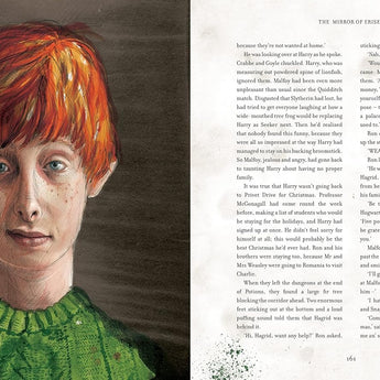 Bloomsbury Childrens Books Harry Potter And The Philosopher's Stone: Illustrated Edition | Books