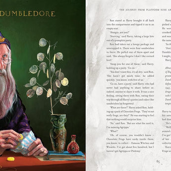 Bloomsbury Childrens Books Harry Potter And The Philosopher's Stone: Illustrated Edition | Books