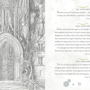 Bloomsbury Harry Potter A Magical Year Jim Kay Illustrations | Art Book