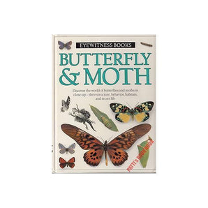 Butterflies And More