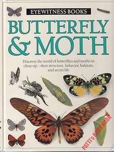 Butterflies And More