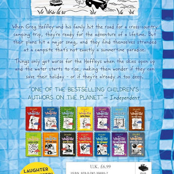 Diary Of A Wimpy Kid Deep End Book 15 | Kids Fiction