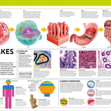 Dk Publishing Knowledge Encyclopedia Human Body â€” Children's Book For Kids | Children's & Teenage Fiction Stories