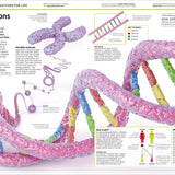 Dk Publishing Knowledge Encyclopedia Human Body â€” Children's Book For Kids | Children's & Teenage Fiction Stories