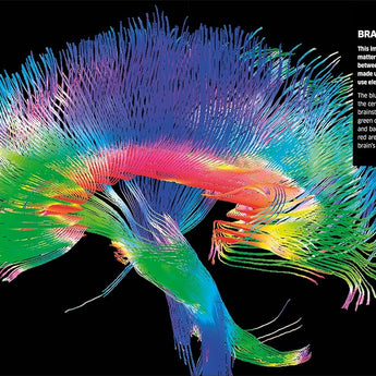 Dk Publishing Knowledge Encyclopedia Human Body â€” Children's Book For Kids | Children's & Teenage Fiction Stories