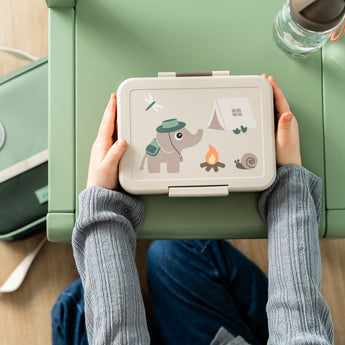 Done by Deer Lunch Box With Divider Tiny Trails