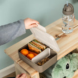 Done by Deer Lunch Box With Divider Tiny Trails