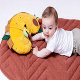 Eco Friendly Tummy Time Pillow For Babies | Trixie Sensory Play Support