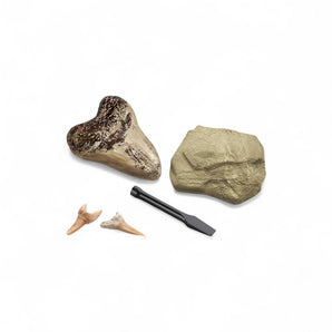 Discovery Mindblown STEM Toy Excavation Kit Mini Shark Tooth 2pc with Chisel