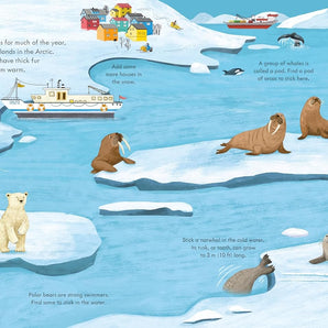 First Sticker Book Planet Earth
