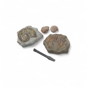 Discovery Mindblown Fossil Unearthed 2-Pack Mini Excavation Kit