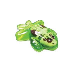 Slimy Dissect-it-in Gift Box Set: Piranha STEM Toy