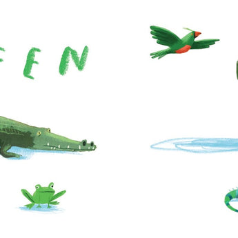 Harper Collins Publishers Book Of Colours (Here We Are) â€” Children's Book For Kids | Baby Books