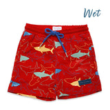 Holly And Beau Boys Color Changing Swim Shorts | Quick Dry Pool & Beach