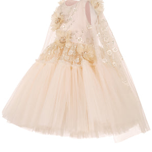 Enchanting Peach Dress