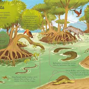 Look Inside Seas And Oceans