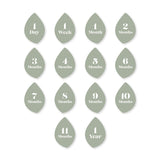 Lulujo Baby's First Year Milestone Blanket & Cards Set | Premium Muslin Gift