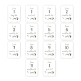 Lulujo Baby's First Year Milestone Blanket & Cards Set | Premium Muslin Gift