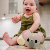 Melii Baby Milk Powder & Formula Dispenser Koala Grey