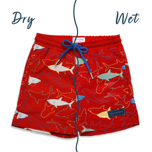 Boys Color-Changing Swim Shorts, Fun Gift for Kids