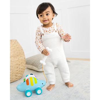 Skip Hop Explore & More 3 In 1 Musical Pull Toy Dinosaur