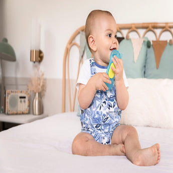 Sophie La Girafe Ice Bite Telephone Teether | Baby Soother