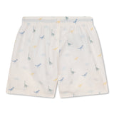 Swim Essentials Kids Swim Shorts For Boys | Fun Summer Swimwear