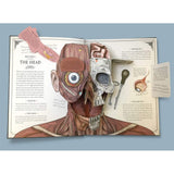 Templar Publishing The Human Body: A Pop Up Guide To Anatomy ” Children's Book For Kids | Children's & Teenage Fict... - My Little Thieves