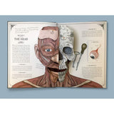 Templar Publishing The Human Body: A Pop Up Guide To Anatomy ” Children's Book For Kids | Children's & Teenage Fict... - My Little Thieves