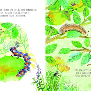 The Woolly Bear Caterpillar