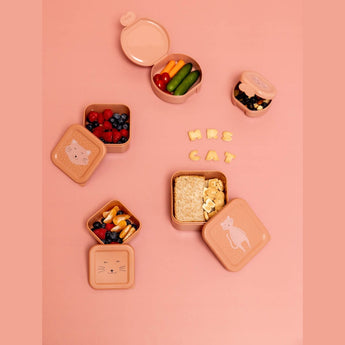 Trixie Kids Snack Box Set Of 2 | Leakproof School Lunch Containers