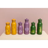 Stainless Steel Water Bottle 500ml Mr.Alligator