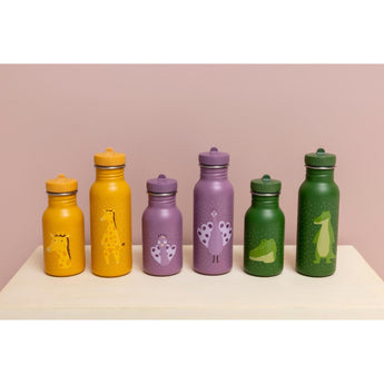 Stainless Steel Water Bottle 500ml Mr.Alligator