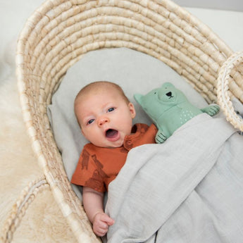 Trixie Small Plush Animal Toy 26cm | Gots Organic Cotton Cuddly Friend