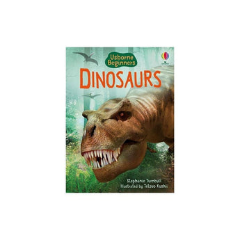 Usborne Publishing Ltd Dinosaurs (Usborne Beginners S.) ” Children's Book For Kids | Books