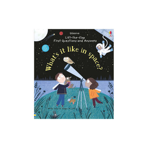Usborne Publishing Ltd What's It Like In Space? â€” Children's Book For Kids | Books