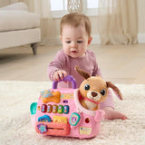 V Tech Baby Cutie Puppy Carrier Interactive Role Play